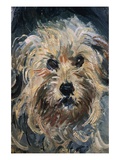 Detail of Yorkshire Terrier from Eugenie Graff (Madame Paul)