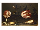 Flowers, Insects, and a Shell