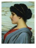 Buy Perilla at AllPosters.com