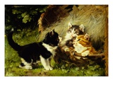 Buy Any Room in the Basket? at AllPosters.com