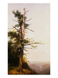 Dying Tree on Mountaintop by John Frederick Kensett