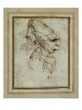 Caricature of a Woman Wearing a Hennin by Leonardo da Vinci