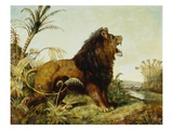 A Lion in a Jungle Landscape