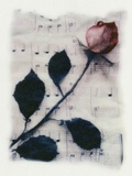 Rose and Music