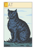 Buy Cat at AllPosters.com