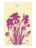 Buy Iris at AllPosters.com