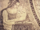 Buy Sabilla Persica at AllPosters.com
