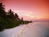 Tropical Beach at Sunset