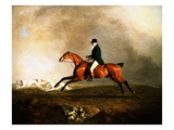 Thomas Mellish on Saucebox