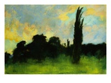 Buy Landscape at AllPosters.com
