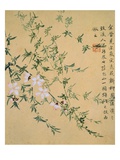Flowers, from an Album of Ten Leaves