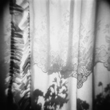 Curtain with Flower Shadow
