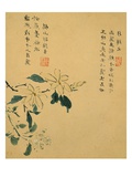 Flowers, from an Album of Ten Leaves