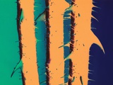 Buy Rose Thorns on Stems at AllPosters.com