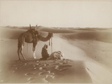 Desert Travelers Bow in Praise to Allah