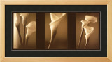 Buy Enlightenment at AllPosters.com