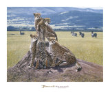 Cheetah Watch