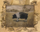 Pig