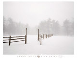 Buy White Fog II at AllPosters.com