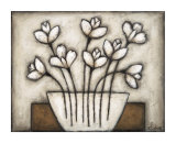 Fiori Allegro