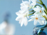 Buy Romance at AllPosters.com