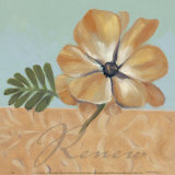 Buy Renew at AllPosters.com