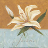 Buy Serene at AllPosters.com