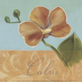 Buy Calm at AllPosters.com