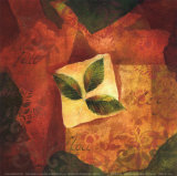 Beech Leaf