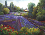 Buy Summer of Lavender at AllPosters.com