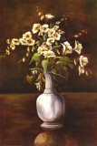 Buy Traditional White at AllPosters.com