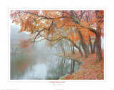 Autumn Reflections