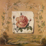 Buy Renaissance Rose I at AllPosters.com