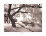 Buy Dreamscape at AllPosters.com