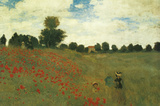 Poppies