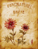 Buy Parcnaturel I at AllPosters.com