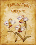 Buy Parcnaturel II at AllPosters.com