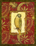 Exotica Parrot