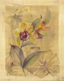 Buy Bahama Breeze I at AllPosters.com