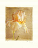 Buy Iris at AllPosters.com