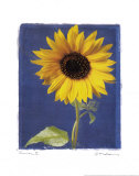 Buy Summer II at AllPosters.com