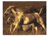 Buy Like the Wind I at AllPosters.com