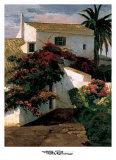 Courtyard Blossoms