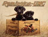 Remington Finder's Keepers