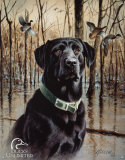Ducks Unlimited Great Retrievers