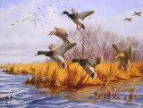 Ducks Unlimited As Good As Home