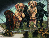 Jail birds