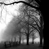 Buy Black and White Morning at AllPosters.com