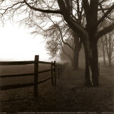 Corner Fence