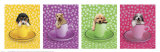 Caff-FUR-ino Puppies